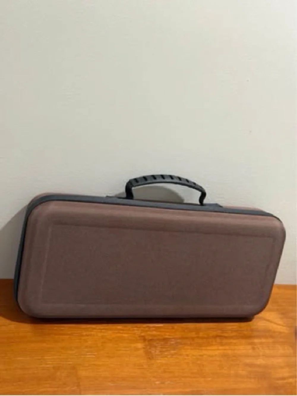 Dyson Airstrait Compatible Carrying Case